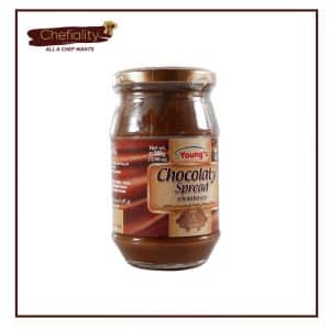 YOUNGS CHOCOLATY SPREAD (360GM)