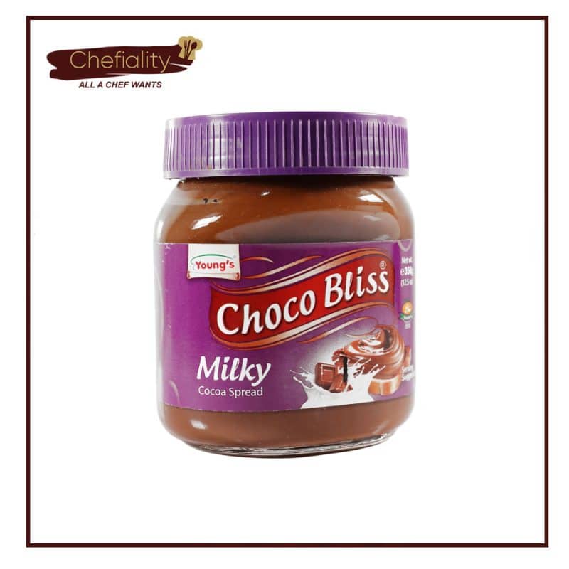 YOUNGS CHOCO BLISS MILKY (350GM)