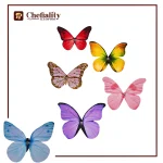 Colorful Butterfly 6 Pc's