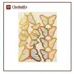 Butter Fly Color Card 10 Pc's