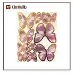 Butter Fly Color Card 10 Pc's