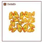 Butter Fly Color Card 10 Pc's