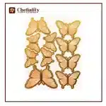 Butter Fly Color Card 10 Pc's